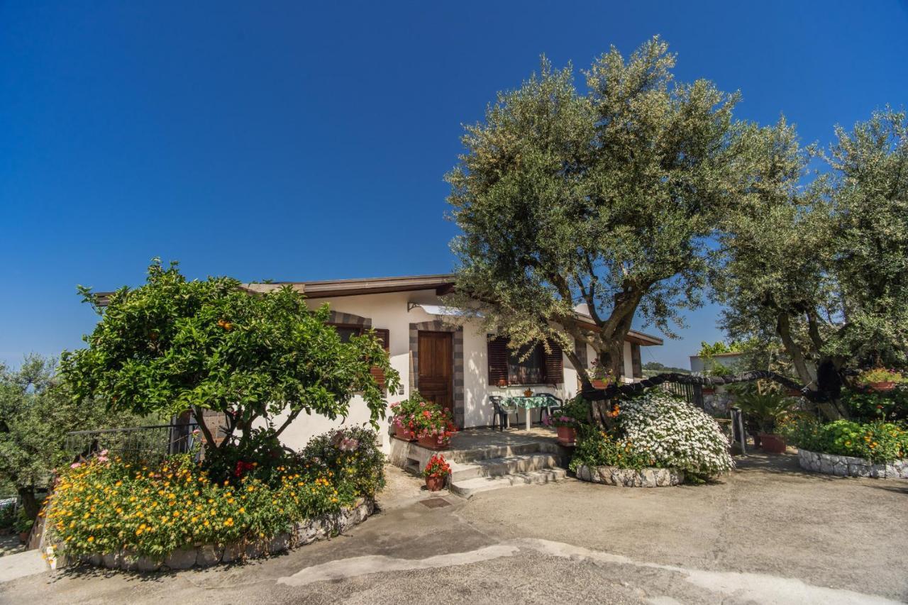 Villa Mattia In The Land Of Sirens SantʼAgata sui Due Golfi Exterior foto